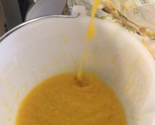 Preparazione della salsa gialla